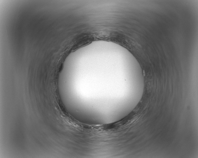 X0000060761345200512011503