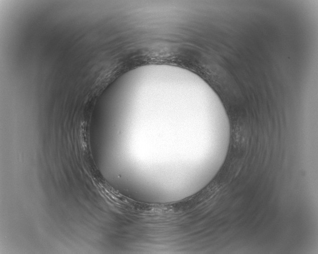 X0000060761346200512011503