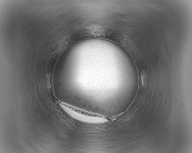 X0000060761347200512011503