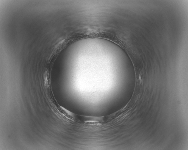 X0000060761348200512011503