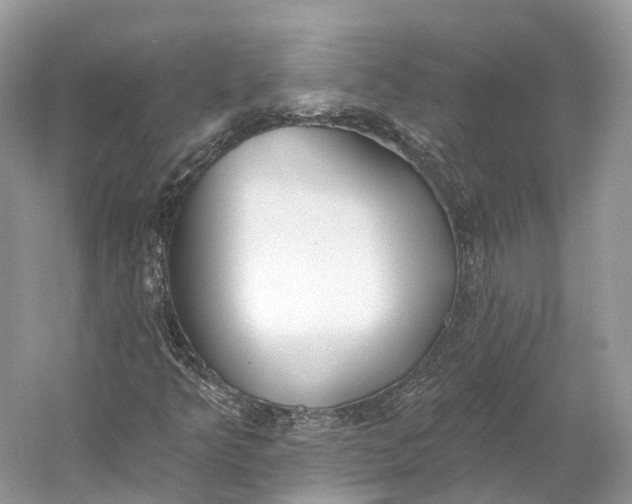 X0000060761349200512011502
