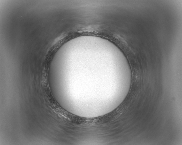 X0000060761350200512011502