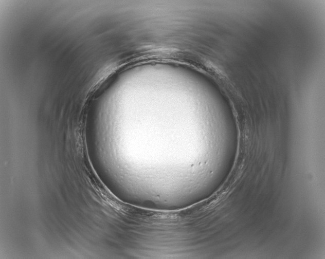 X0000060761354200512011502