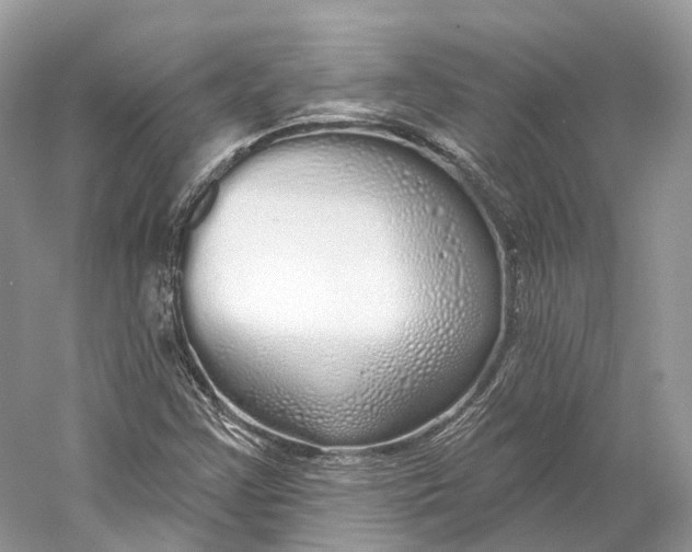 X0000060761355200512011502