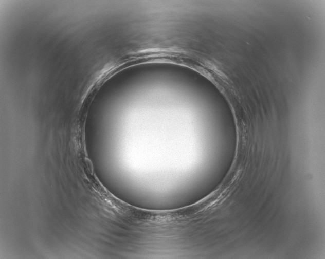 X0000060761357200512011502