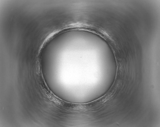 X0000060761358200512011502