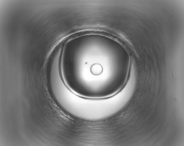 X0000060761360200512011502