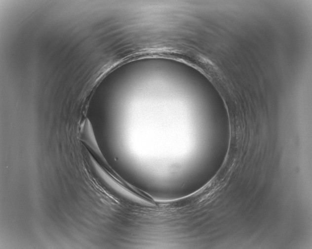 X0000060761361200512011502