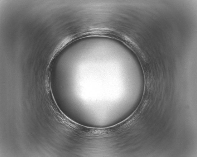 X0000060761362200512011502
