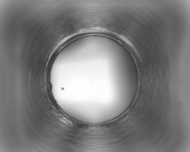 X0000060761364200512011502