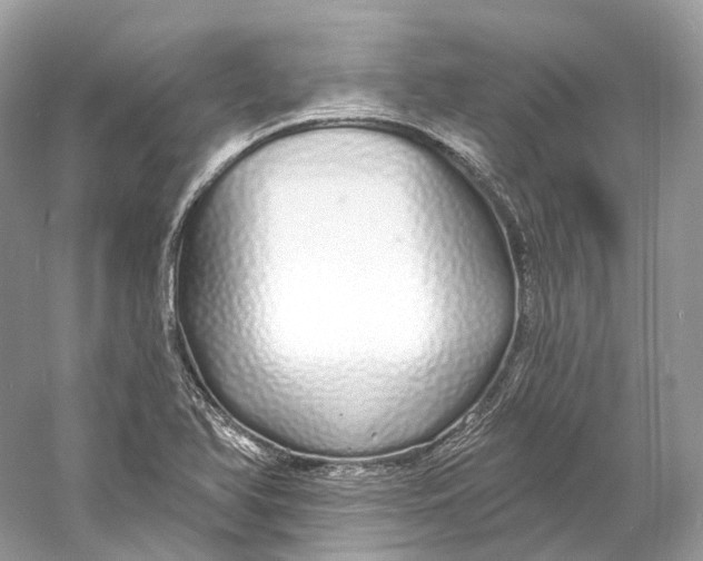 X0000060761366200512011502
