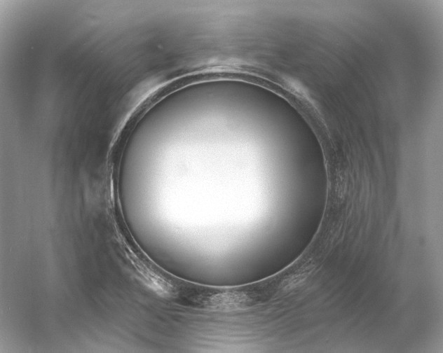 X0000060761368200512011502