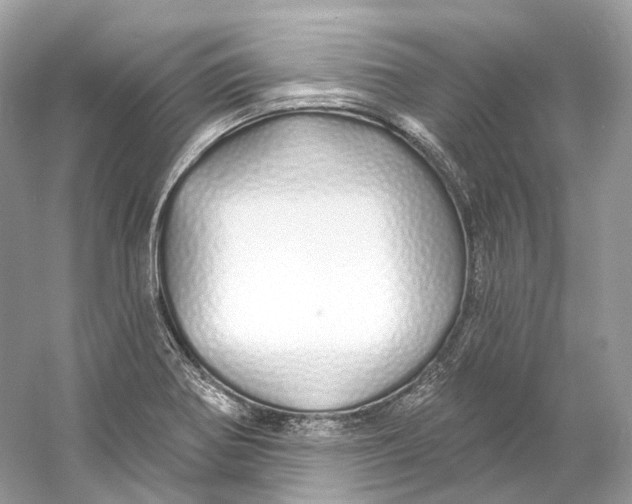 X0000060761370200512011502