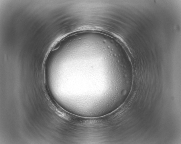 X0000060761371200512011502