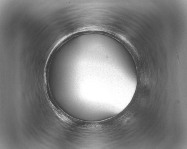 X0000060761372200512011502