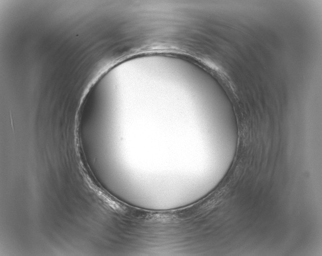 X0000060761374200512011502