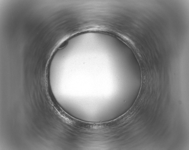 X0000060761375200512011502