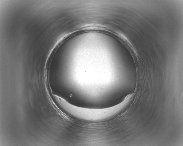 X0000060761376200512011502
