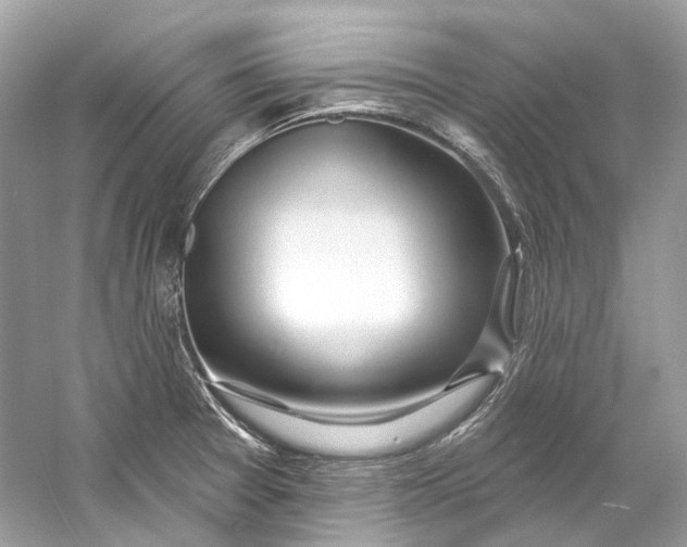 X0000060761377200512011502