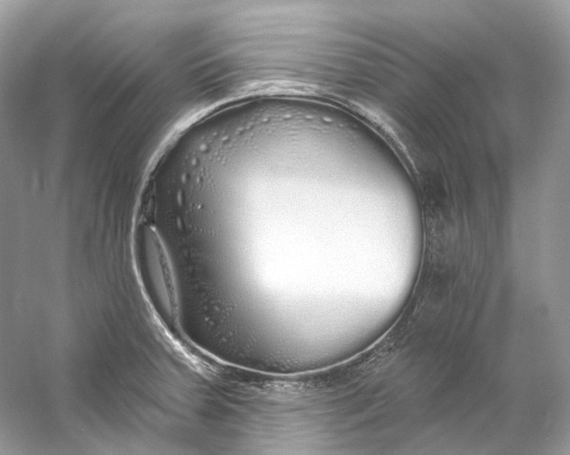 X0000060761379200512011502