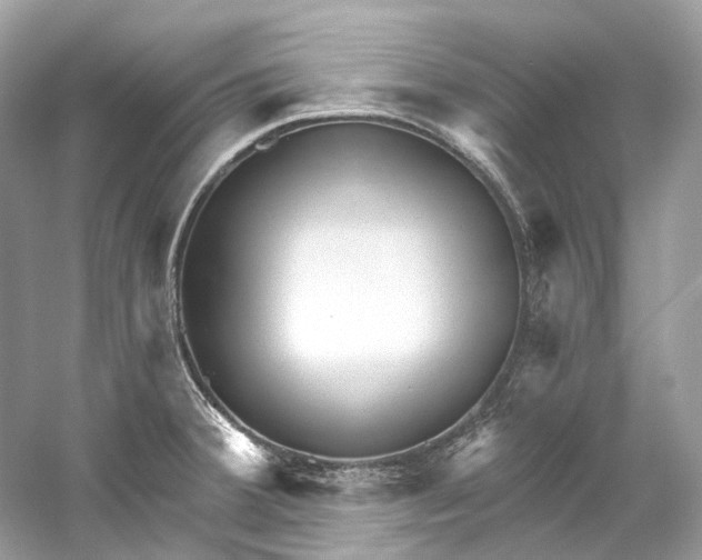 X0000060761380200512011502