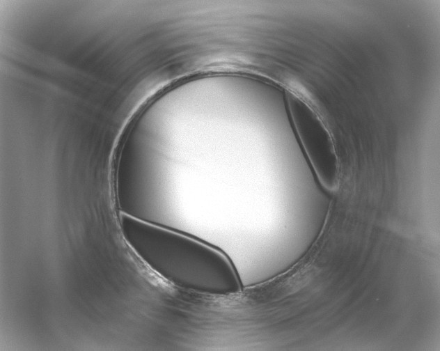 X0000060761384200512011502