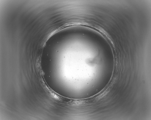 X0000060761385200512011502