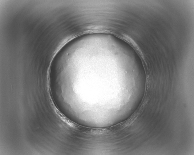 X0000060761386200512011502