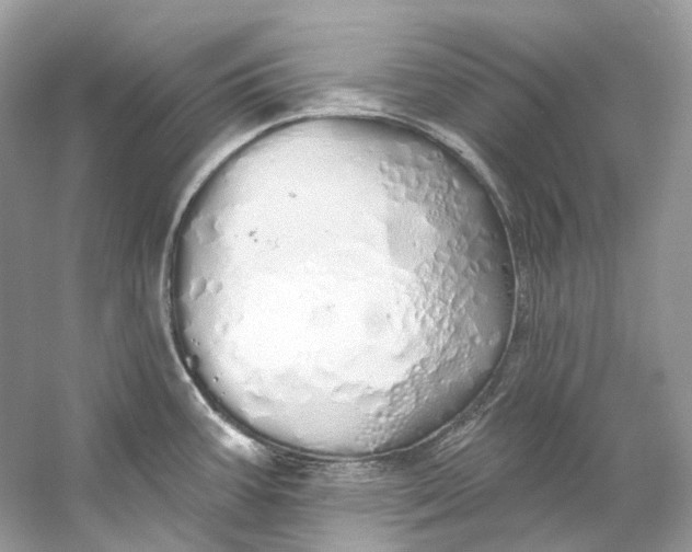 X0000060761387200512011502