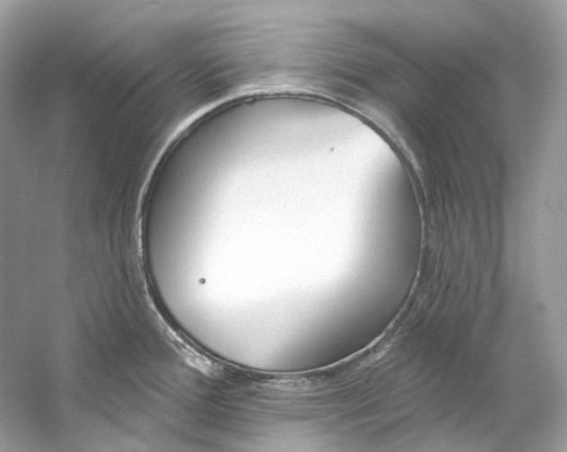 X0000060761388200512011502