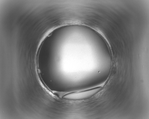 X0000060761389200512011502