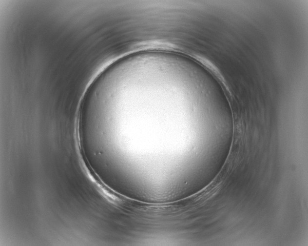 X0000060761391200512011502