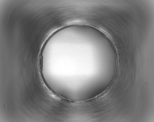 X0000060761392200512011502