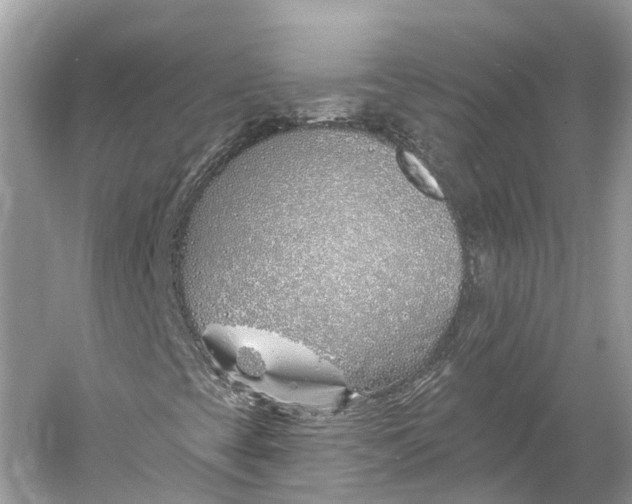 X0000060761393200512011501