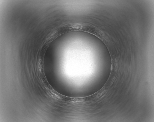 X0000060761394200512011501