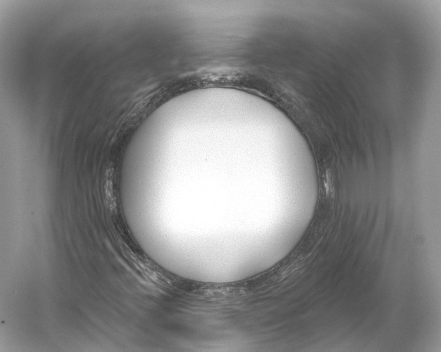 X0000060761396200512011501