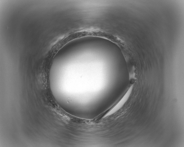 X0000060761398200512011501