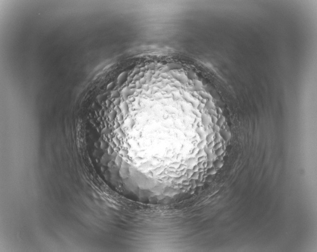 X0000060761399200512011501