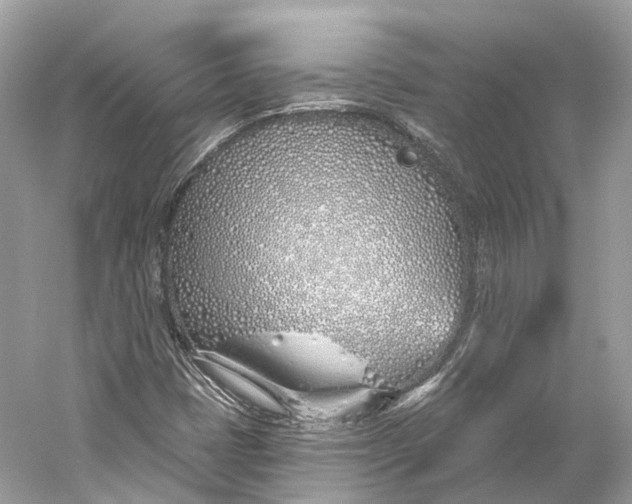 X0000060761401200512011501