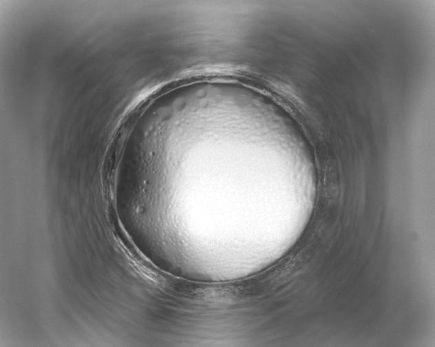 X0000060761404200512011501