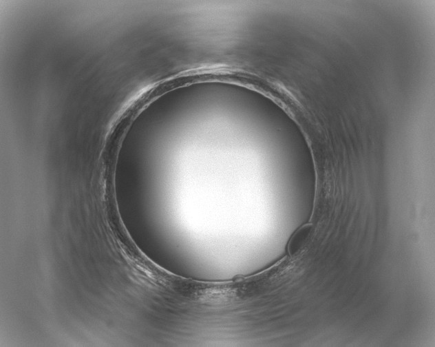 X0000060761406200512011501
