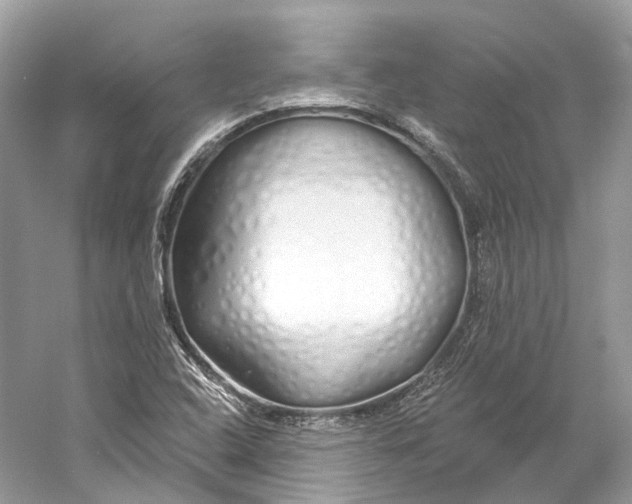 X0000060761408200512011501