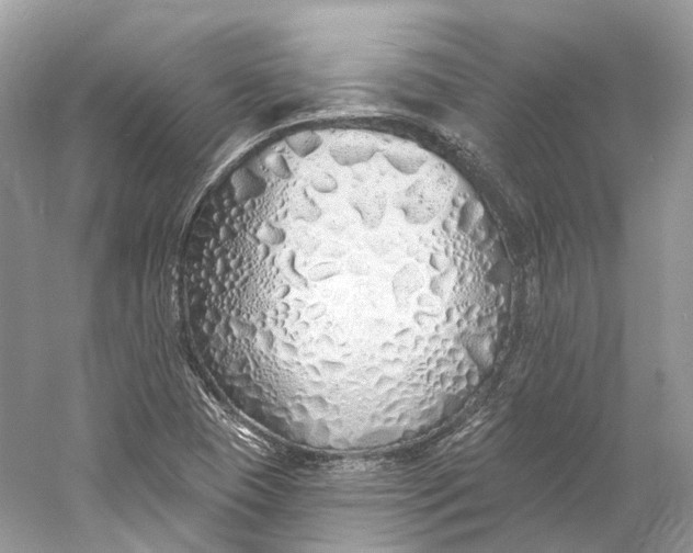 X0000060761409200512011501