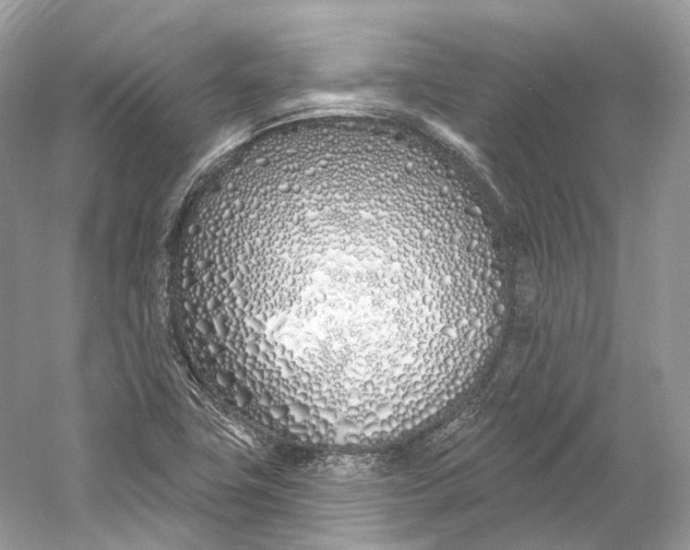 X0000060761411200512011501