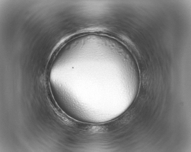 X0000060761412200512011501