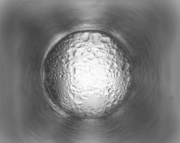 X0000060761413200512011501