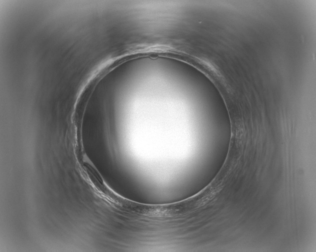 X0000060761414200512011501