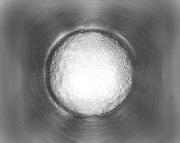 X0000060761416200512011501