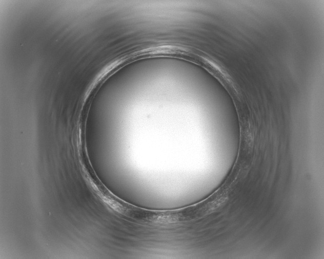 X0000060761418200512011501