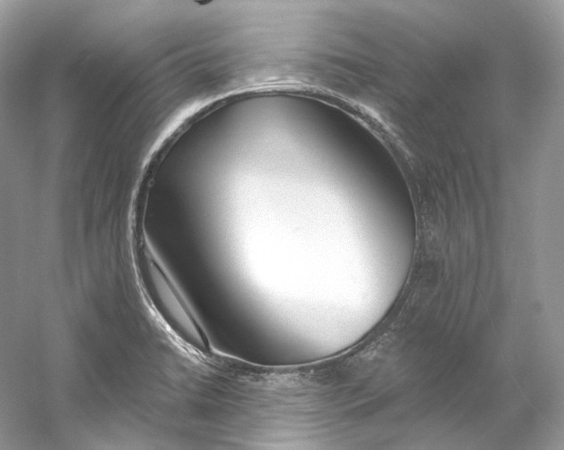 X0000060761422200512011501